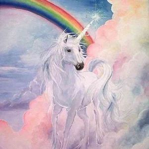 Meet your Posher, Serena